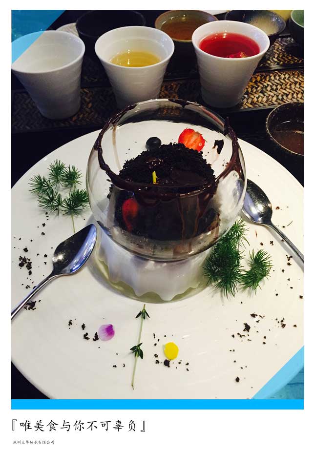 2015年第十二屆上海模型展，大華參展！